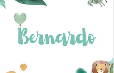 significado de Bernardo