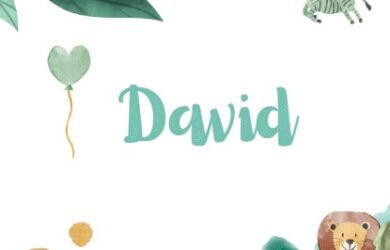significado de david