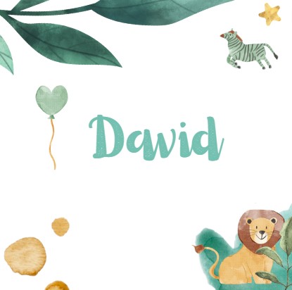 significado de david