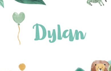 significado de dylan