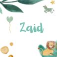 significado de zaid