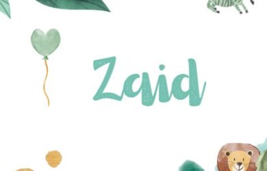 significado de zaid